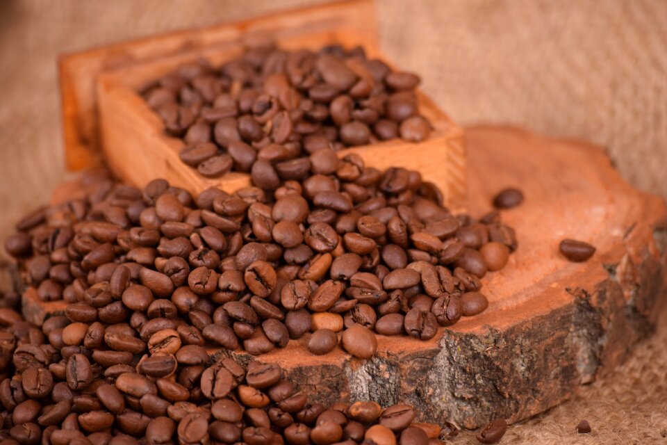 Bean drink espresso