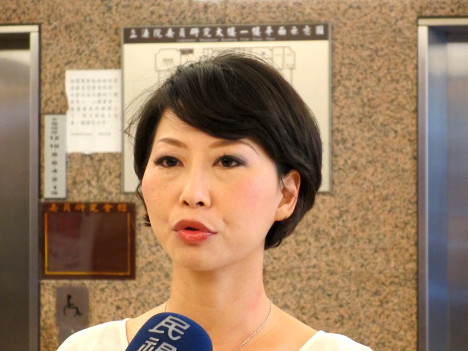 DPP member Chen Ting-Fei