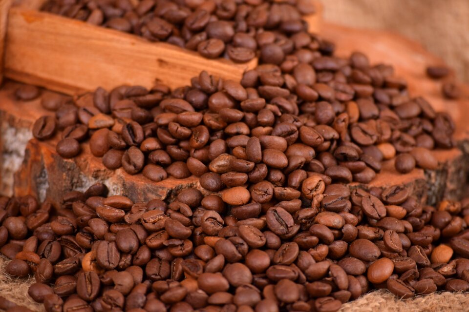 Bean drink espresso