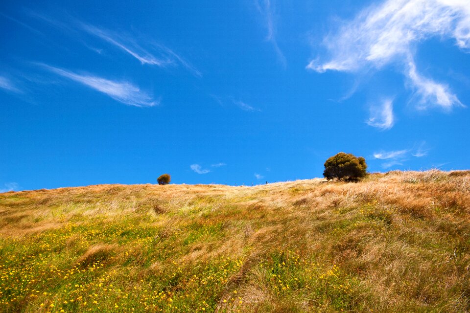 Background the scenery prairie