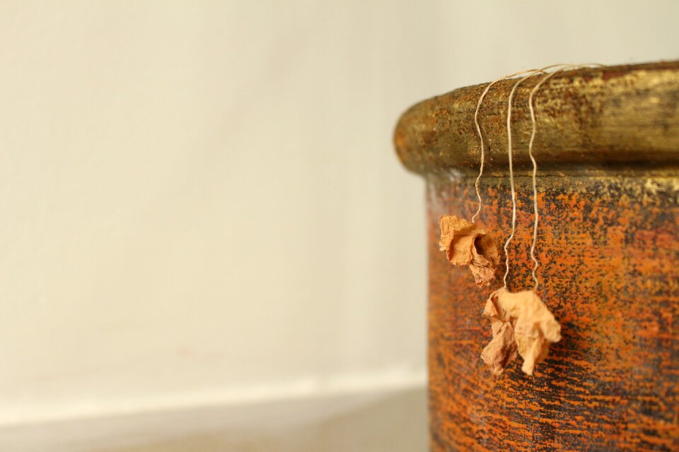 Dried leaves background flower pot
