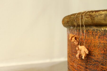 Dried leaves background flower pot photo