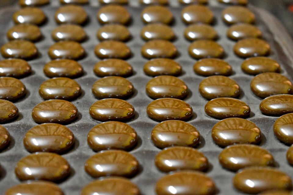 Array alternate therapy brown therapy