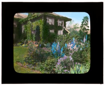 Dr. Frederick Kellogg Hollister house, Lily Pond Lane, East Hampton, New York. Delphiniums LCCN2008675732