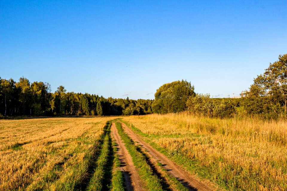 Countryside landscape summer