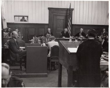 Dr. Hans Gramm, defense witness in the Judges' Trial
