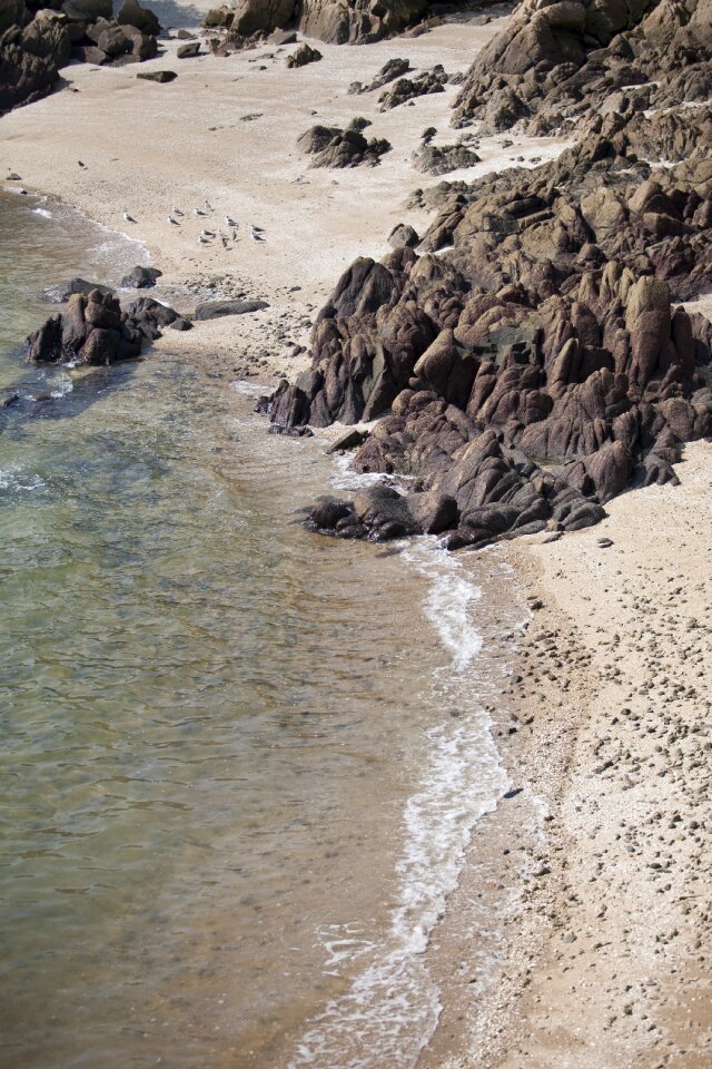 Coastal korea sand beach