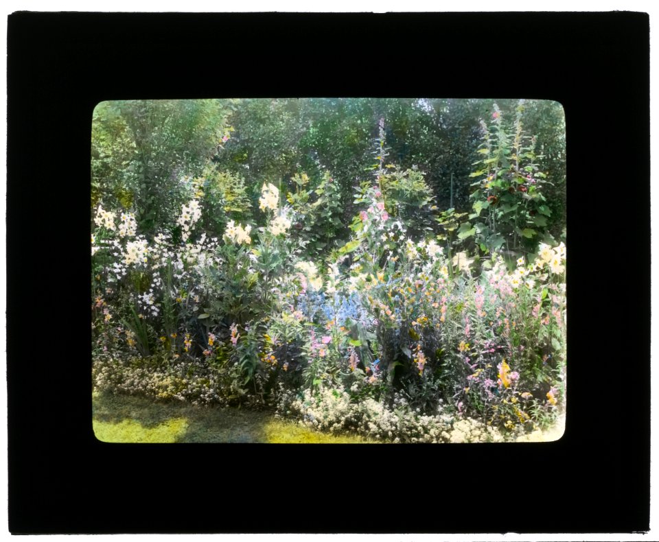 Dr. Peter Brown Wyckoff house, Gin Lane, Southampton, New York. Flower border LCCN2008675753