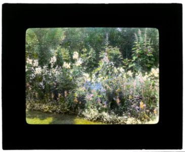 Dr. Peter Brown Wyckoff house, Gin Lane, Southampton, New York. Flower border LCCN2008675753