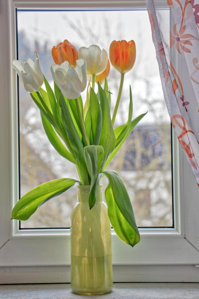 Leaf bouquet tulip