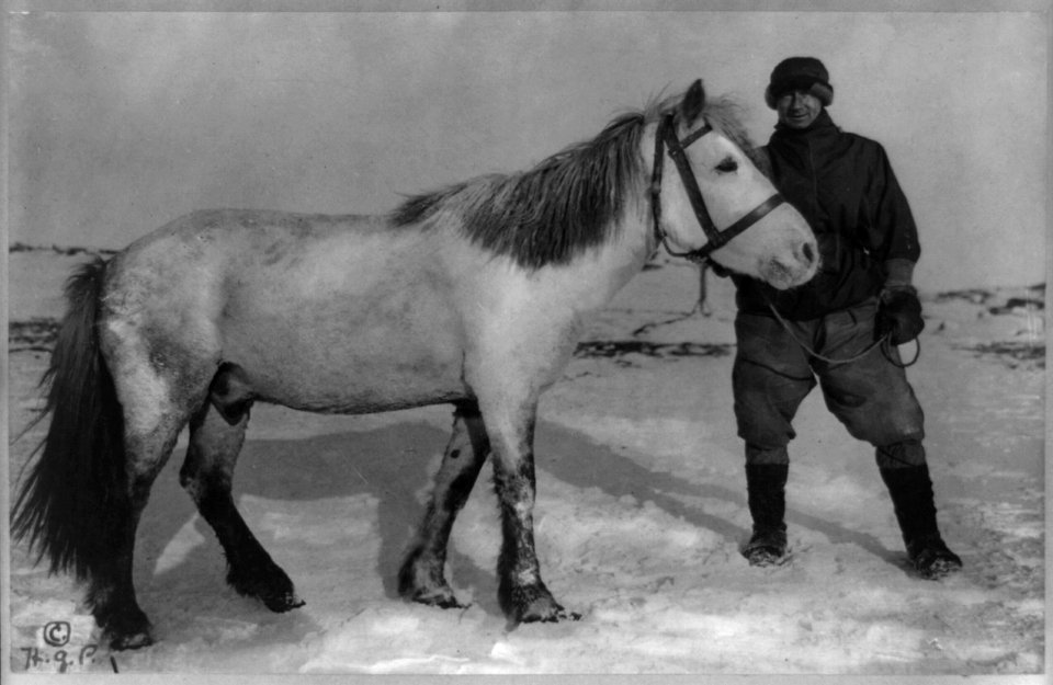 Dr. Wilson and pony Nobby - H.G.P. LCCN2009633377