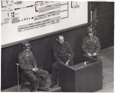 Dr. Walter Schmidt on witness stand during Doctors' Trial