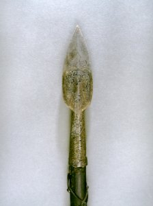 Drabantspjut från Pommern - Skoklosters slott - 56692