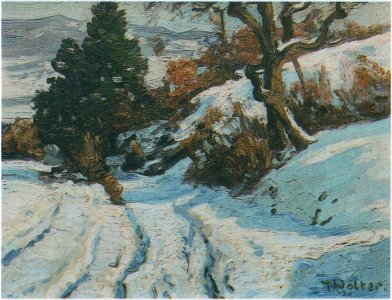 Drachenfelser Ländchen Winter Toni Wolter