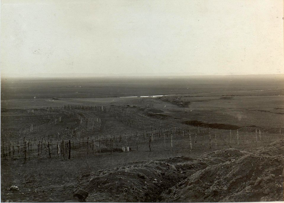 Drahthindernis vor der 3.Kompanie des Infanterieregimentes 84, hinten die kleinen Schlitze der k.u.k. Schützengräben (BildID 15442496)
