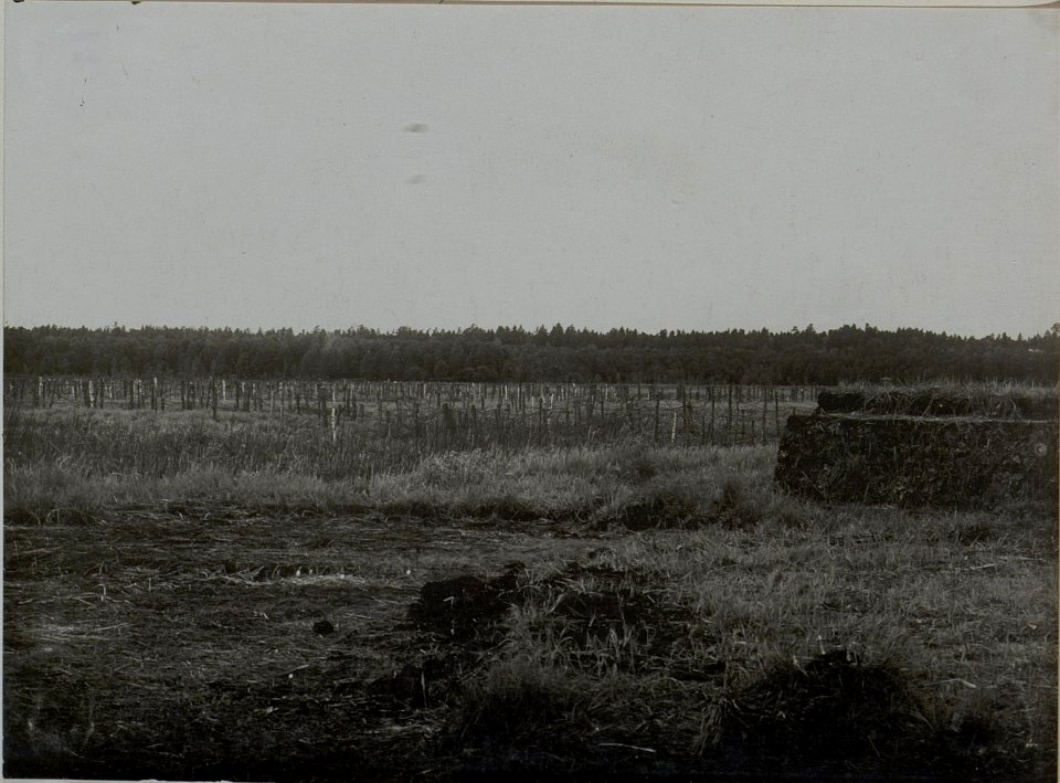 Drahthinderniss bei den Jägern der 25. Infanteriedivision (BildID 15446103)