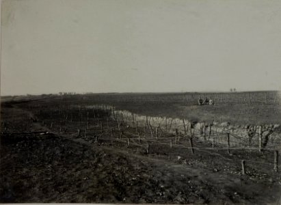 Drahthindernisse beim Inf.Rgt. Nro.1. (BildID 15448001)