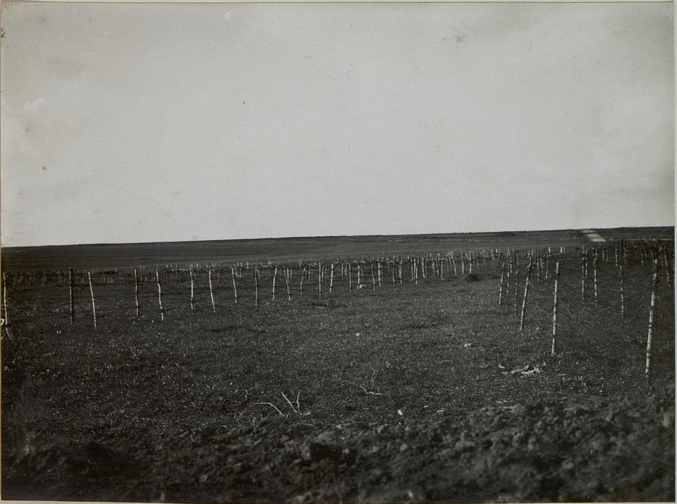 Drahthindernis vor der eigenen Stellung beim Inf. Rgt. Nro.57. (BildID 15450793)