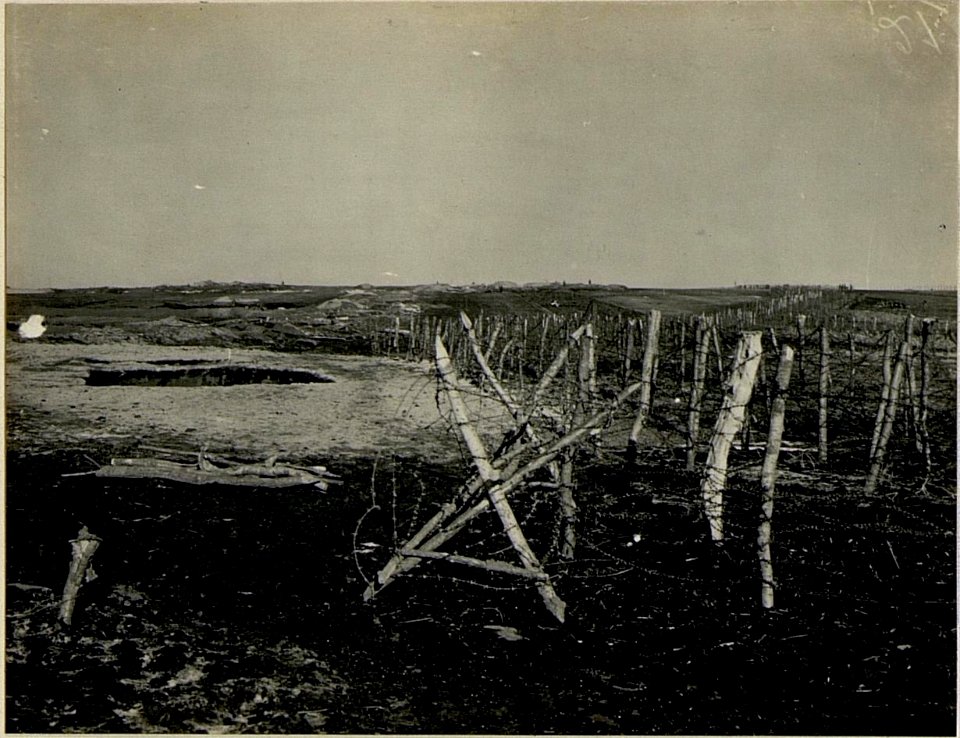 Drahtverhau. (BildID 15524334)
