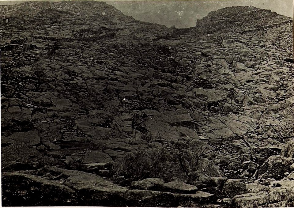 Drahtverhaue auf Cima di Bocche. (BildID 15585166)