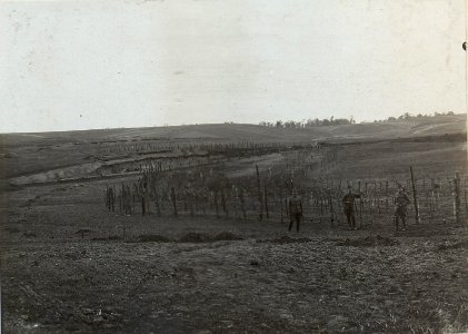 Drahthindernis vor der 3.Kompanie des Infanterieregimentes 84, hinten die kleinen Schlitze der k.u.k. Schützengräben (BildID 15442503)