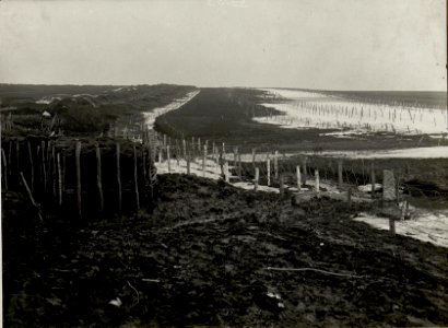 Drahthindernisse an der vordersten Stellung an der Strypa. Aufgenommen am 26. III. 1916. Inf.Rgt.Nro.78. (BildID 15536422)