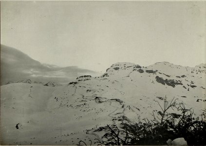Drahtverhaue und Stellungen des 15. Landsturm-Infanterie-Bataillons150 auf der Rattendorferalm. Standpunkt, Nach Norden aus dem Schützengraben. (BildID 15467864)