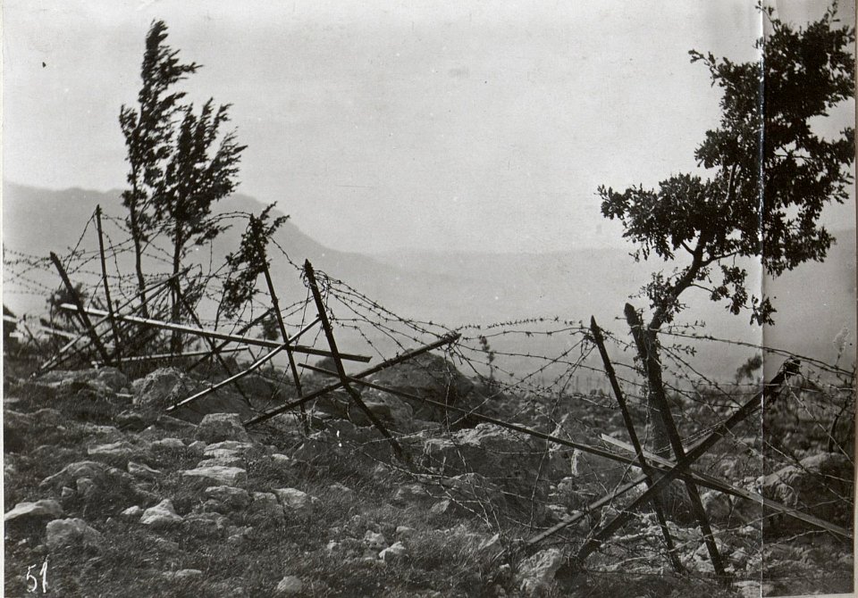 Dratverhau einer Stellung im Ternovanerwalde. 4.9.17. (BildID 15601954)