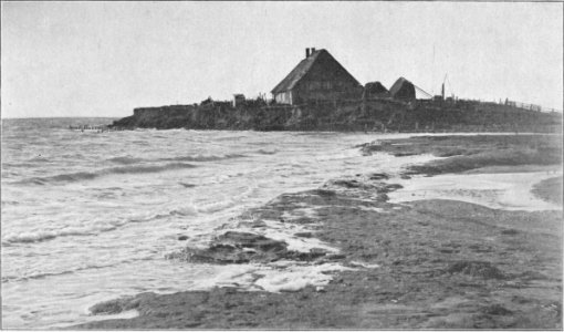 Dreesen Langeneß Peterswarft1