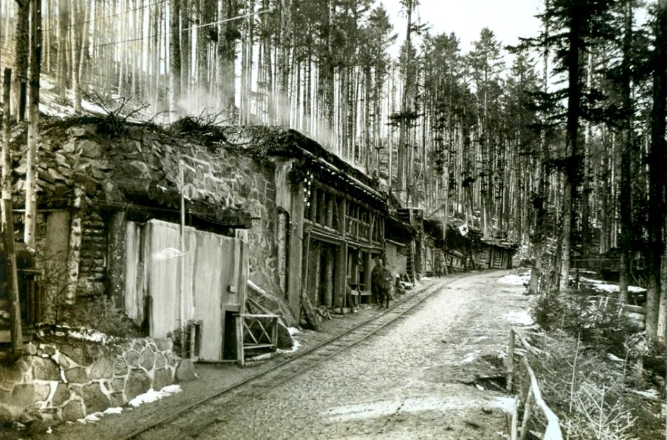 Drei-Ährenbahn - Am Barrenkopf km 11,0