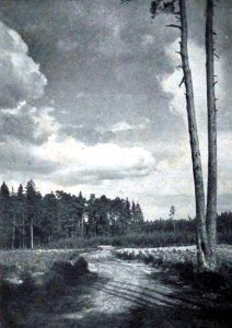 Dresden und das Elbgelände 043a