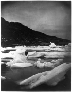 Drift ice consolidating to form pack ice on the coast of Labrador LCCN2012645596