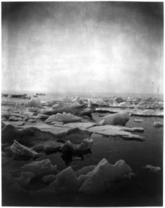 Drift ice in the Atlantic Ocean, off the coast of Labrador LCCN2012645563