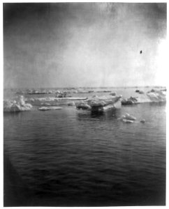 Drift ice in the Atlantic Ocean, off the coast of Labrador LCCN2012645602
