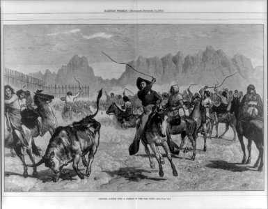 Driving cattle into a corral in the far West LCCN2007681642
