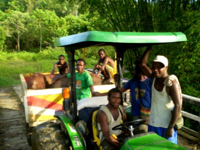Driving pigs with the new John Deer tractor provided by PADA in Agimuga, Papua (4702713720)