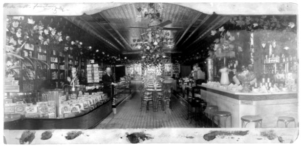 Drugstore and soda fountain LCCN2013646069
