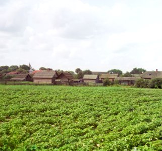 Drysa. Дрыса (S. Prokudin-Gorsky, 1912) (2)