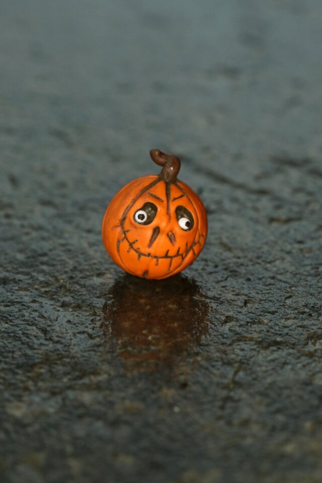 Fall autumn halloween