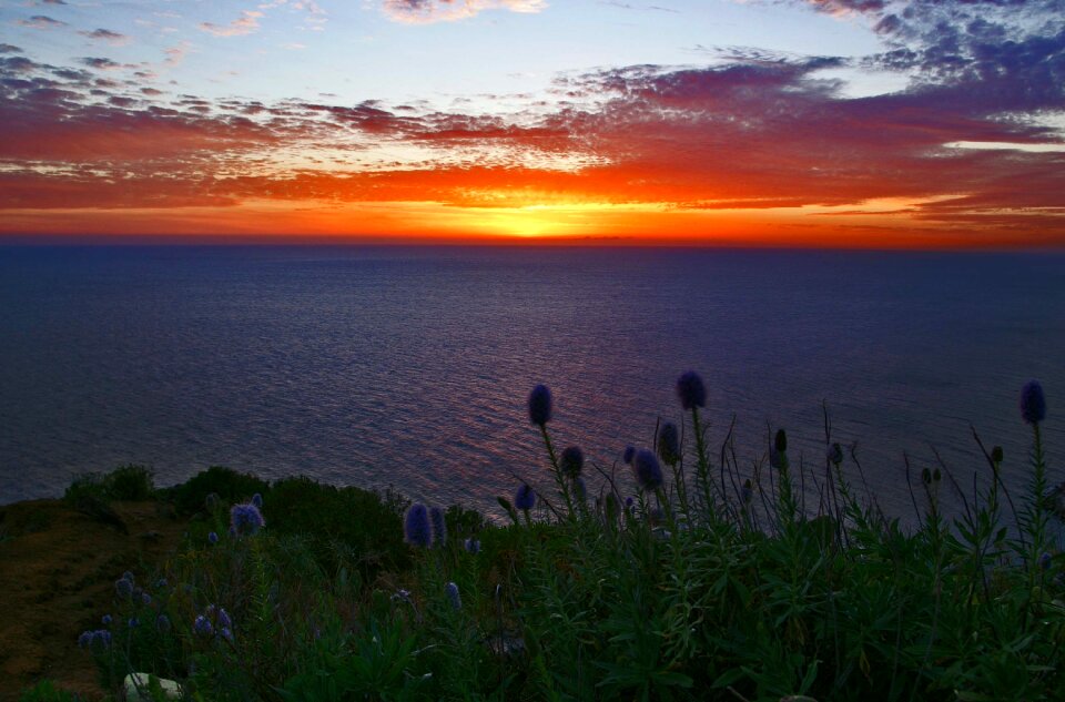 Panorama landscape madeira