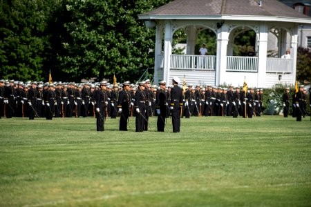 DSC2230 (36372738573)