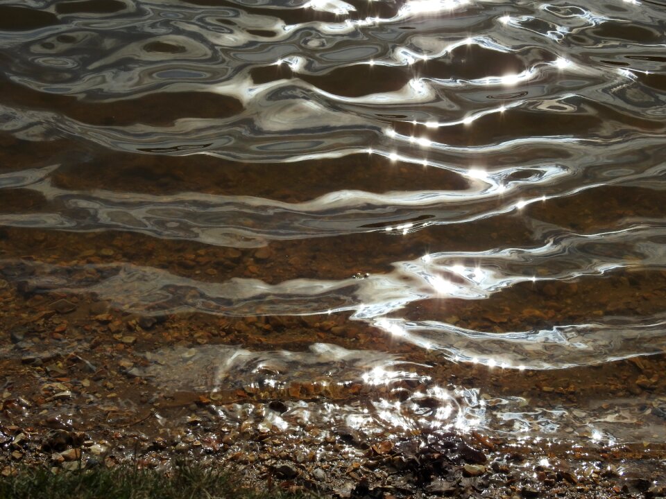 Reflection nature summer