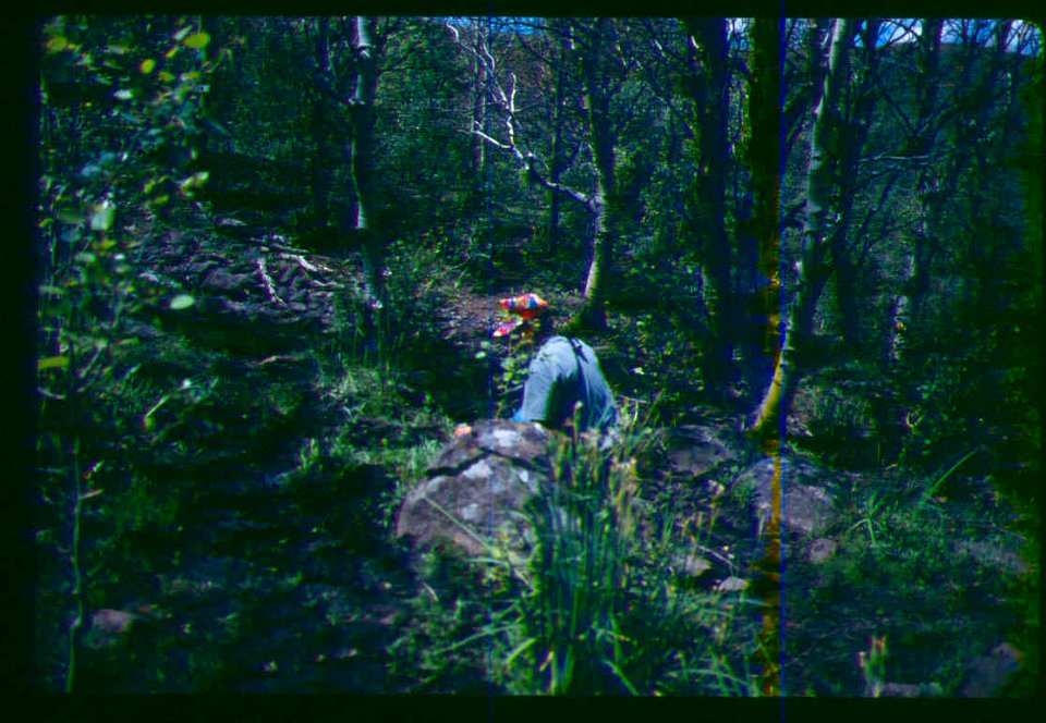 Duane Atwood at a rare plant- Phacelia minutissima site in SW Idaho
