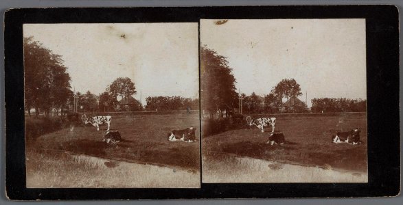 Duivendrecht; landschap - Maarten Benschop