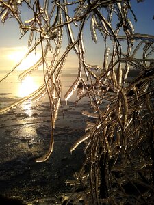 Frost nature outdoor