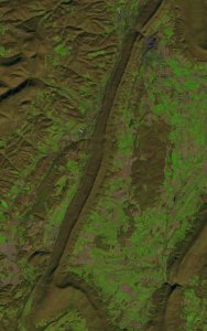 Dunning Mountain LC08 L1TP 016032 20161114 20170219 01 T1