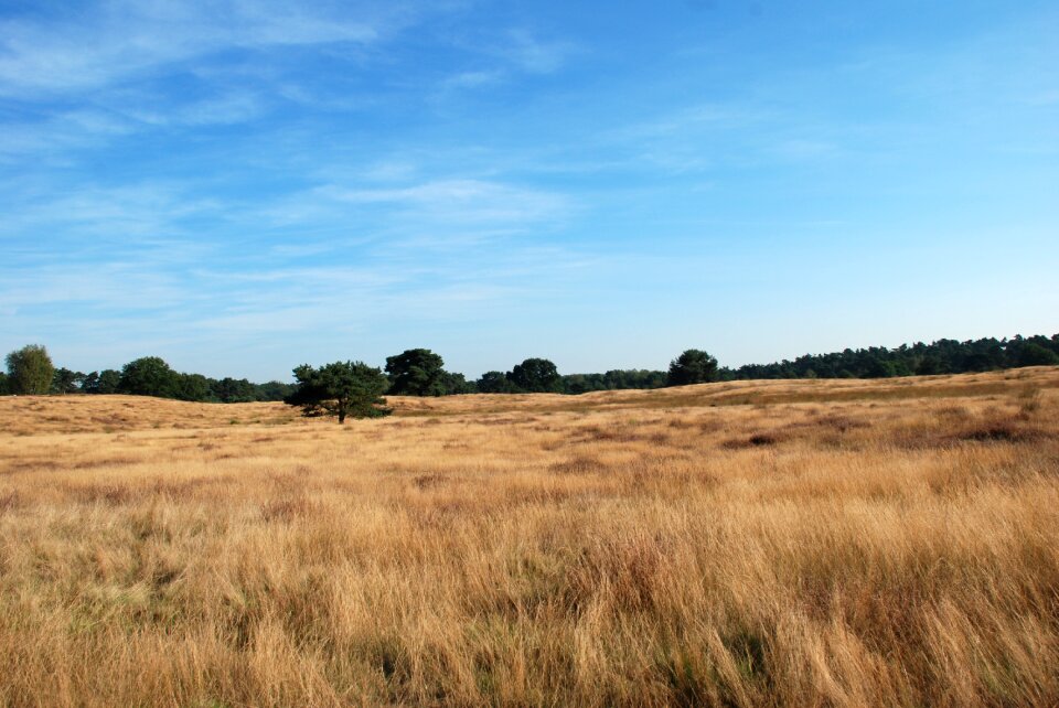 Nature landscape sky