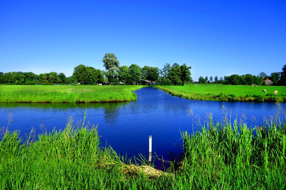 Grass countryside rural photo