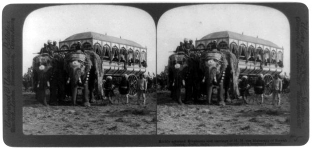 Durbar, Delhi, India- Richly adorned elephants and carriage of H.H., the Maharaja of Rewah LCCN2002716160