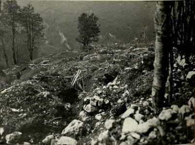 Durch feindliche Artillerie zerstörte eigene Stellungen auf Kote 1317. Aufgenommen am 27. Juli 1916. (BildID 15478724)
